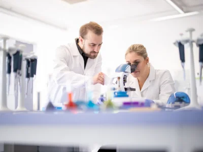 Workshops Exkursionen