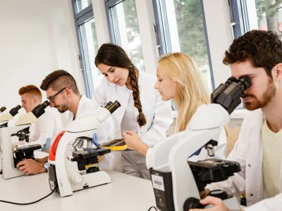 Forschung Entwicklung Transfer FH Wiener Neustadt