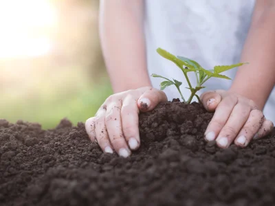 Shutterstock 764267131